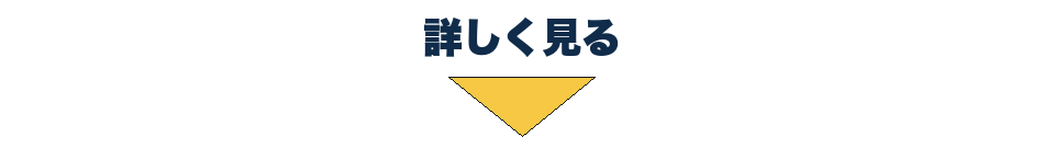 詳しく見る
